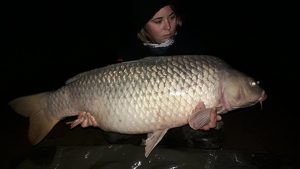 paula-garin-carpas-comunes-ebro