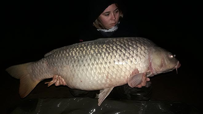 paula-garin-carpas-comunes-ebro