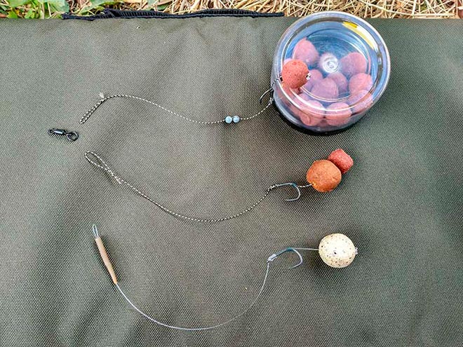 mesa-redonda-carpmag-consejos-debutar-carpfishing