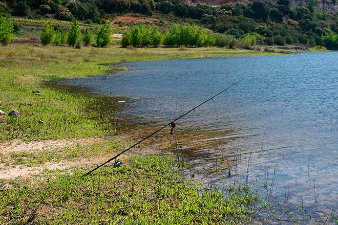 mesa-redonda-carpmag-consejos-debutar-carpfishing