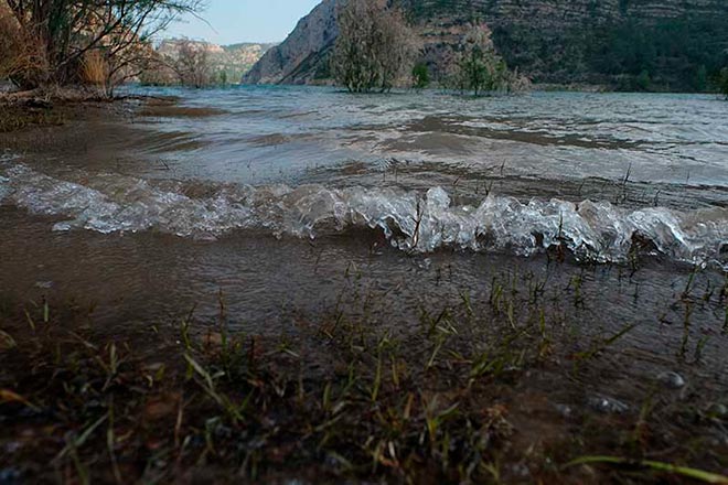 mesa-redonda-carpmag-consejos-debutar-carpfishing