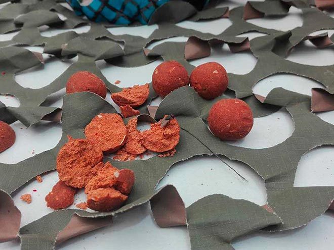 mesa-redonda-carpmag-consejos-debutar-carpfishing