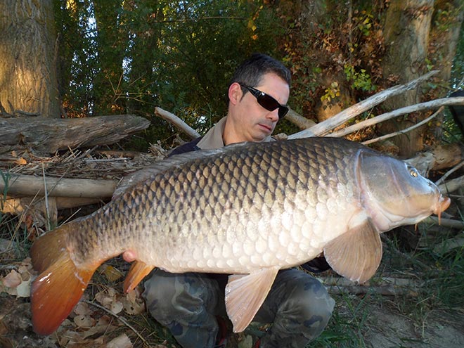 raul-vegas-rio-peces-salvajes