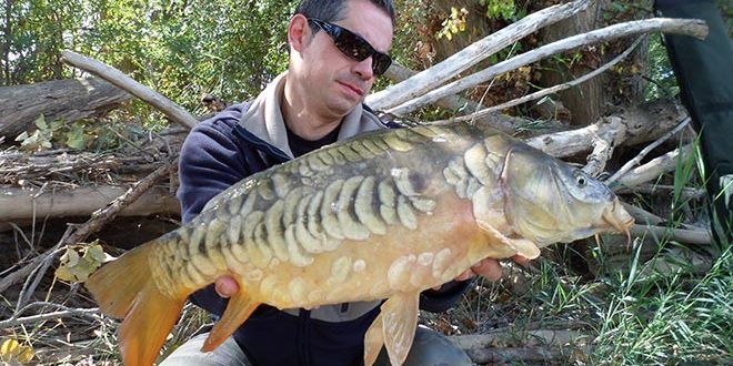 raul-vegas-rio-peces-salvajes