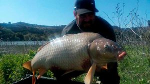 consejos-capturar-especimenes-mesa-redonda-carpmag-25