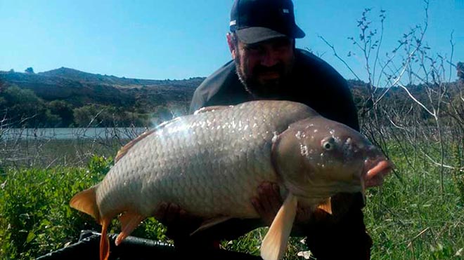 consejos-capturar-especimenes-mesa-redonda-carpmag-25