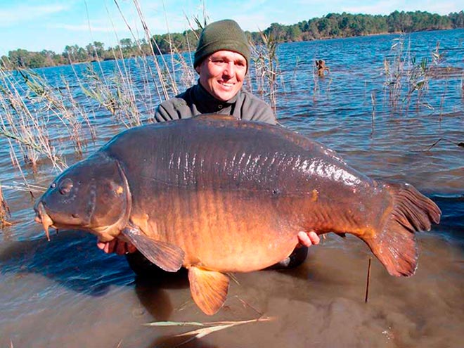 consejos-capturar-especimenes-mesa-redonda-carpmag-25