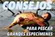 consejos-capturar-especimenes-mesa-redonda-carpmag-25