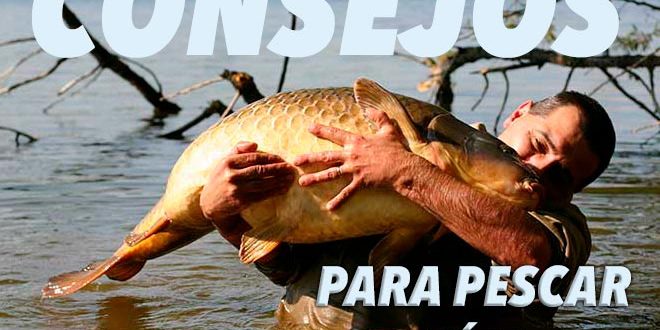 consejos-capturar-especimenes-mesa-redonda-carpmag-25