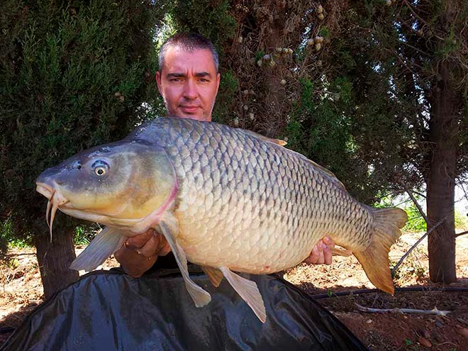 consejos-capturar-especimenes-mesa-redonda-carpmag-25