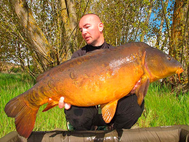 consejos-capturar-especimenes-mesa-redonda-carpmag-25