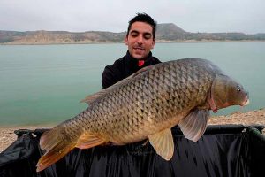 consejos-capturar-especimenes-mesa-redonda-carpmag-25