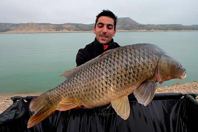 consejos-capturar-especimenes-mesa-redonda-carpmag-25