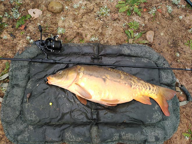 boilies-flotantes-david-garcia-aramendia