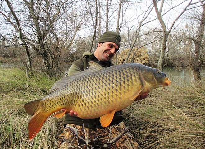 boilies-flotantes-david-garcia-aramendia