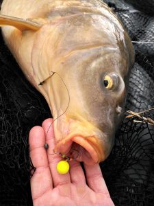boilies-flotantes-david-garcia-aramendia