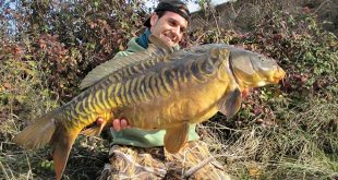 boilies-flotantes-david-garcia-aramendia