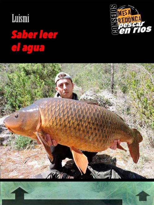 carpmag 26-mesa-redonda-pescar-rios