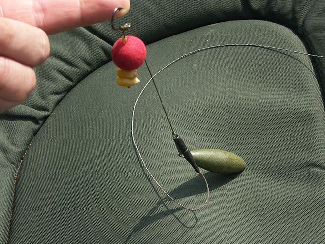 cwr-carpfishing-webcarp-hair-roberto-ripamonti