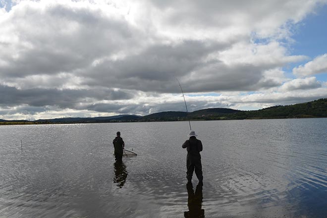 pisoes-carp-classic-portugal
