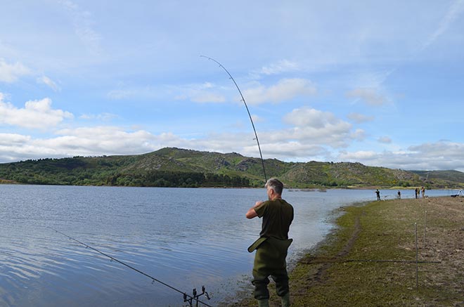 pisoes-carp-classic-portugal