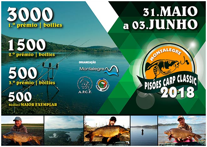 pisoes-carp-classic-portugal