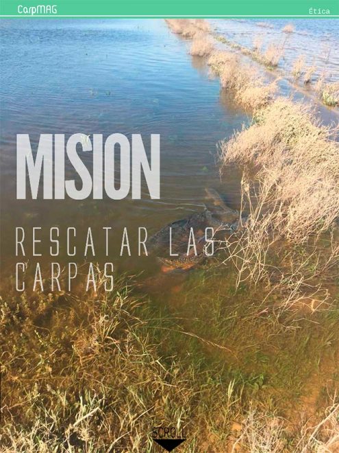 carpmag-mayo-2018