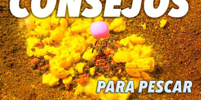 mesa-redonda-carpmag-consejos-sesion-corta-carpfishing