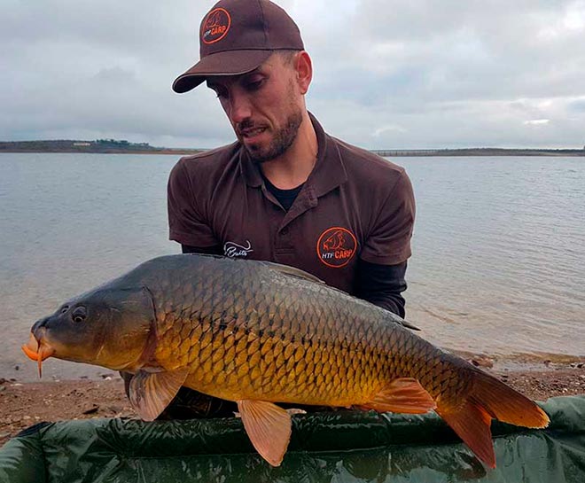 mesa-redonda-carpmag-consejos-sesion-corta-carpfishing
