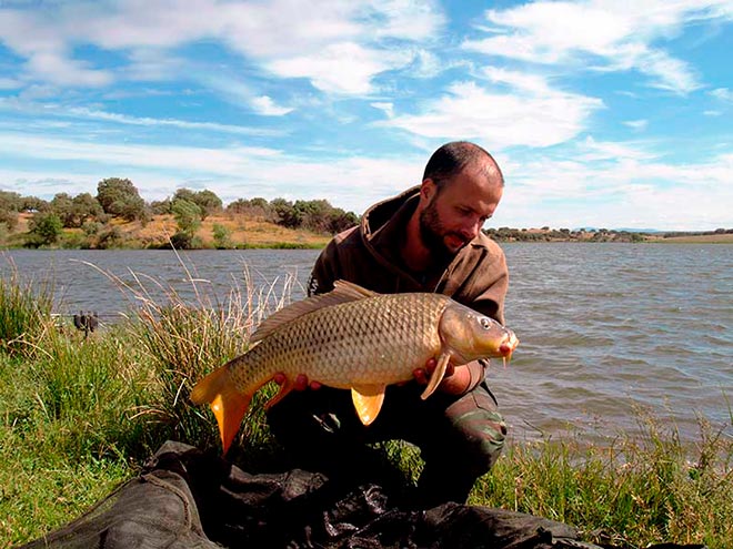 mesa-redonda-carpmag-consejos-sesion-corta-carpfishing