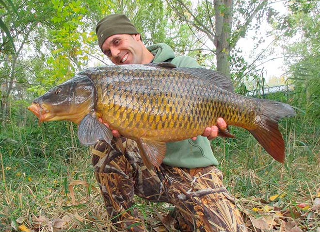mesa-redonda-carpmag-consejos-sesion-corta-carpfishing