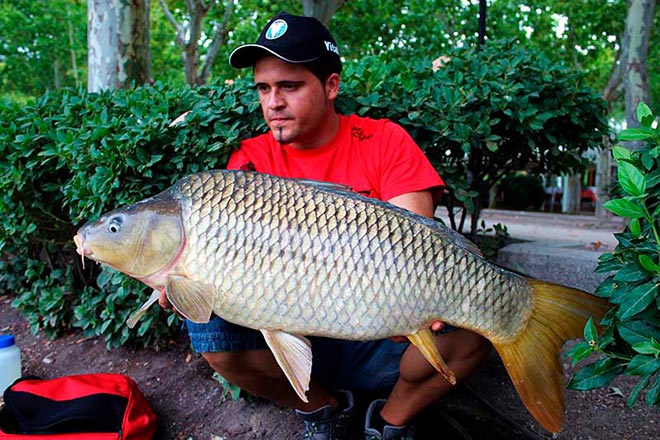 mesa-redonda-carpmag-consejos-sesion-corta-carpfishing