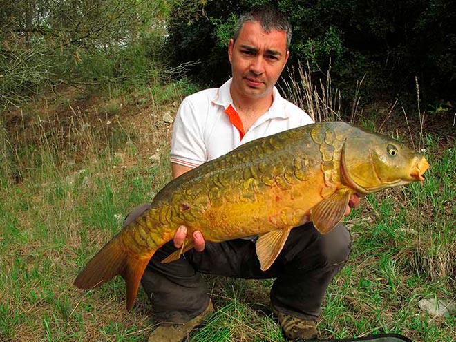 mesa-redonda-carpmag-consejos-sesion-corta-carpfishing